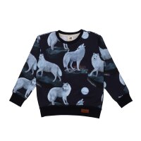 Pullover sweatshirt cotton (organic) 140