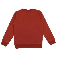 Cotton pullover sweatshirt (organic) 152