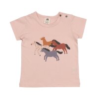 Baby Horses - Baumwolle (Bio)