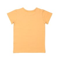 Cotton t-shirt (organic)