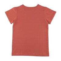 Cotton t-shirt (organic)
