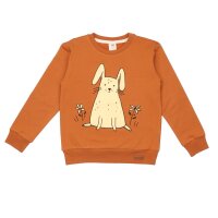 Cotton pullover sweatshirt (organic)