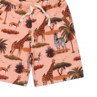 The African Savanna - Shorts