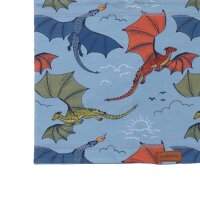 Colorful Dragons - Loop