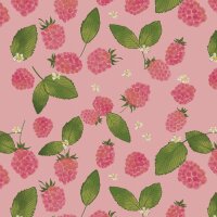 Raspberries - Blouse Top